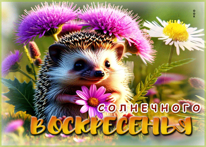 Picture добротная летняя гиф-открытка солнечного воскресенья