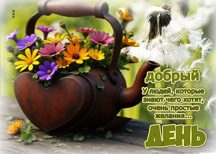 Postcard добрый день! у людей, которые знают чего хотят, очень простые желания