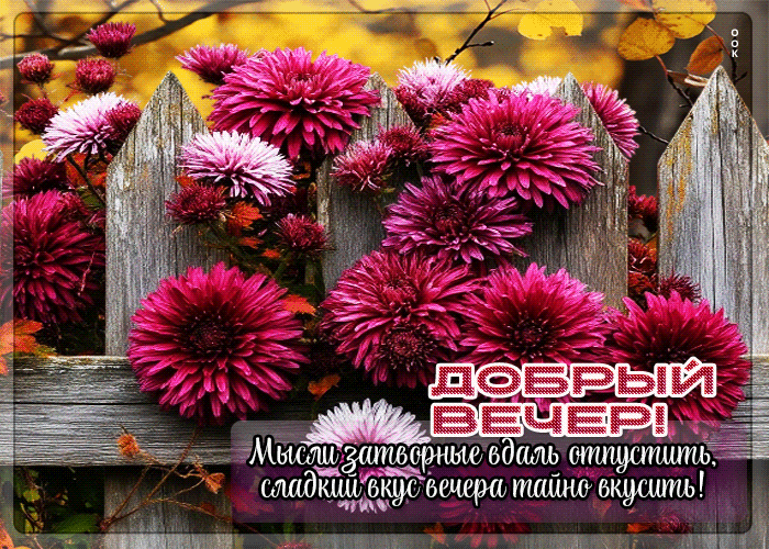 Picture добрый вечер! мысли затворные вдаль отпустить