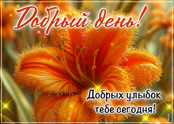 Picture добрых улыбок тебе сегодня! добрый день