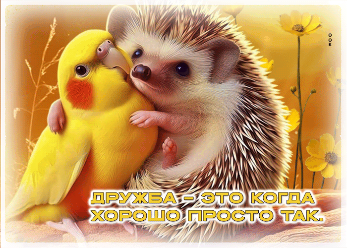 Postcard дружба - это когда хорошо просто так