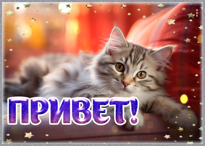 Picture дружелюбная открытка с котиком привет