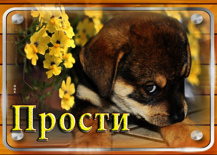 Postcard дружелюбная открытка с щенком прости