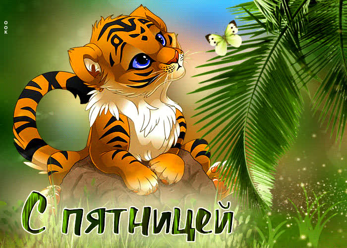 Picture дружелюбная открытка с тигренком с пятницей