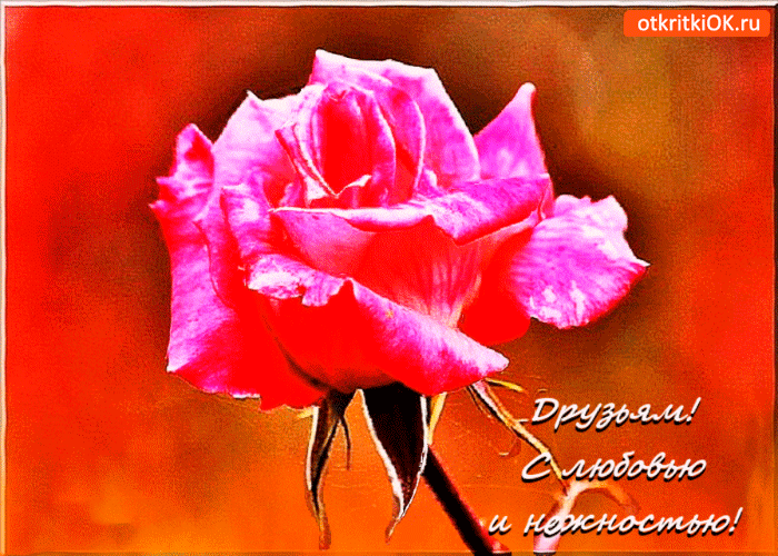 Открытка друзьям с любовью и нежностью