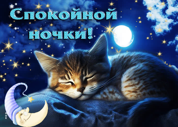 Postcard душевная и трогательная гиф-открытка с котенком спокойной ночи
