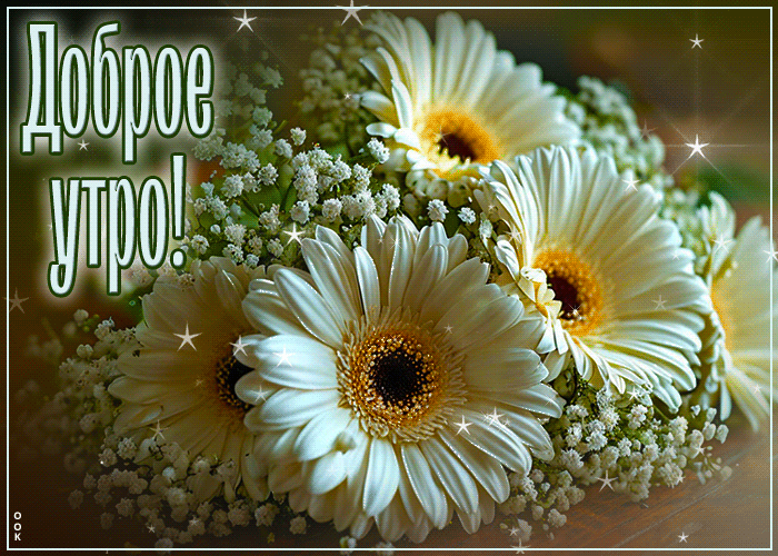 Picture душевная открытка с цветами доброе утро