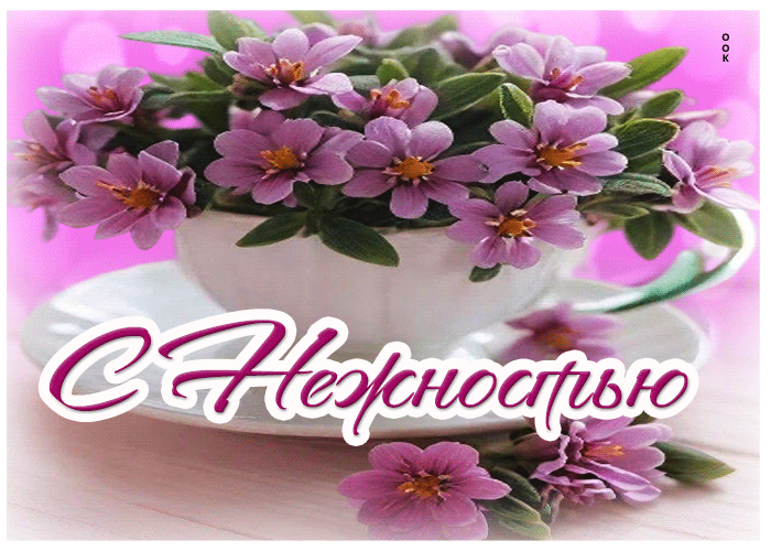 Picture душевная открытка с нежностью