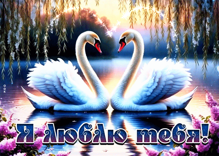 Picture душевная открытка я люблю тебя