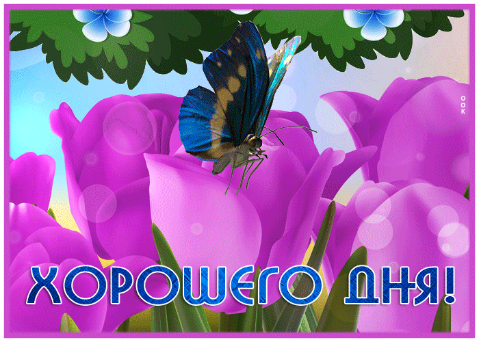 Picture эффектная открытка с бабочкой хорошего дня