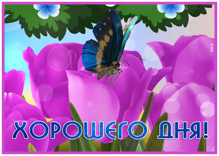 Эффектная открытка с бабочкой Хорошего дня- Скачать бесплатно на ...