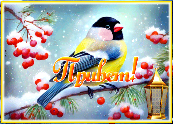 Picture элегантная и увлекательная гиф-открытка с птичкой привет