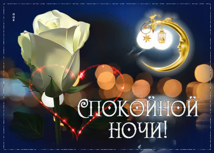Postcard элегантная открытка с белой розой спокойной ночи!