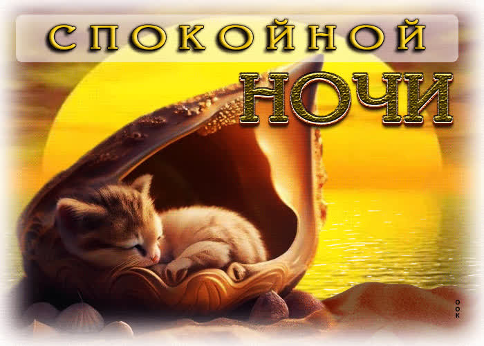 Picture эмоциональная открытка с котенком в ракушке спокойной ночи