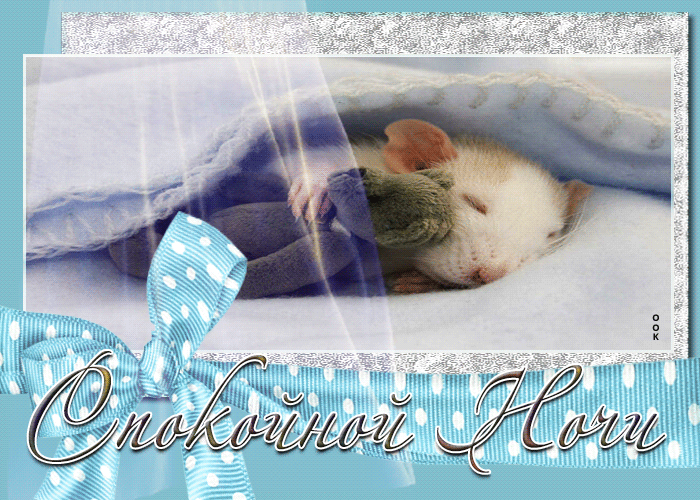 Picture фантастическая гиф-открытка с крыской спокойной ночи
