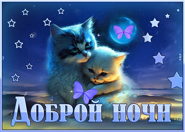 Postcard фантастическая открытка доброй ночи! с котиками