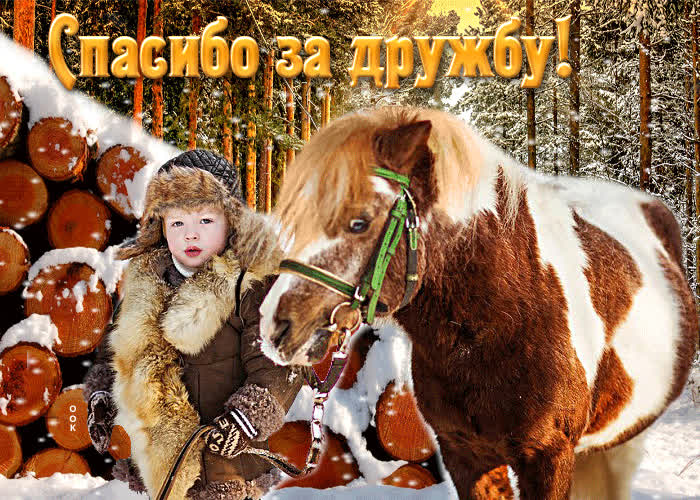Picture фантастическая открытка спасибо за дружбу! с мальчиком и пони