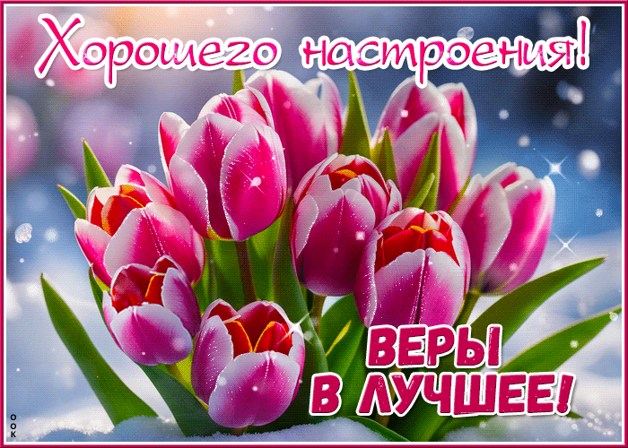 Postcard гиф-открытка с тюльпанами хорошего настроения! веры в лучшее