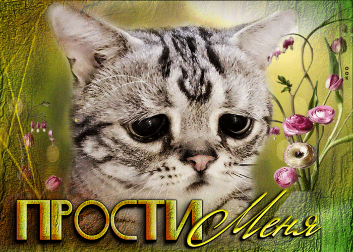 Postcard грустная открытка с котиком прости меня!