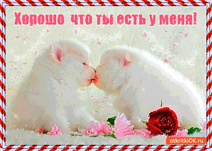 Днем, открытки ты самое лучшее что есть у меня