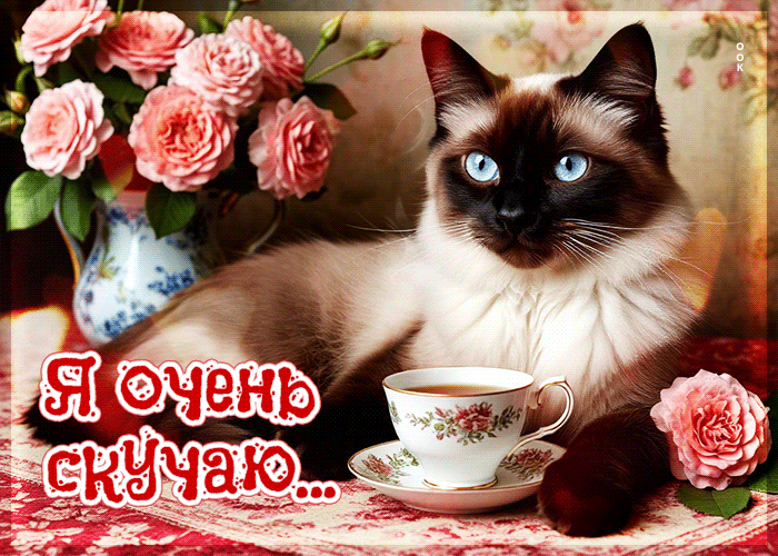 Postcard идеальная гифка я очень скучаю