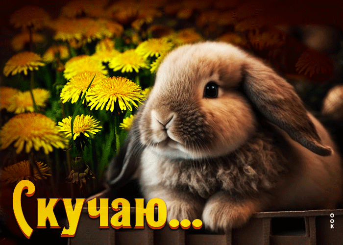 Picture идеальная открытка с кроликом скучаю...