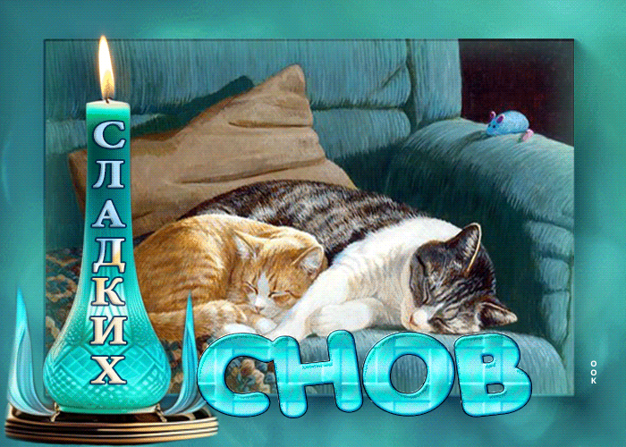Postcard игривая гиф-открытка с котиками сладких снов