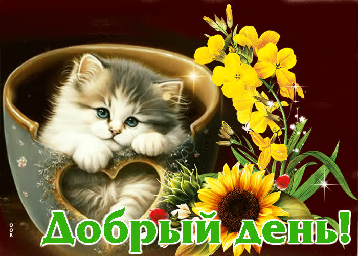 Postcard игривая гиф-открытка с котиком в чашке добрый день