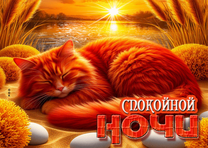 Postcard искренняя летняя гиф-открытка спокойной ночи
