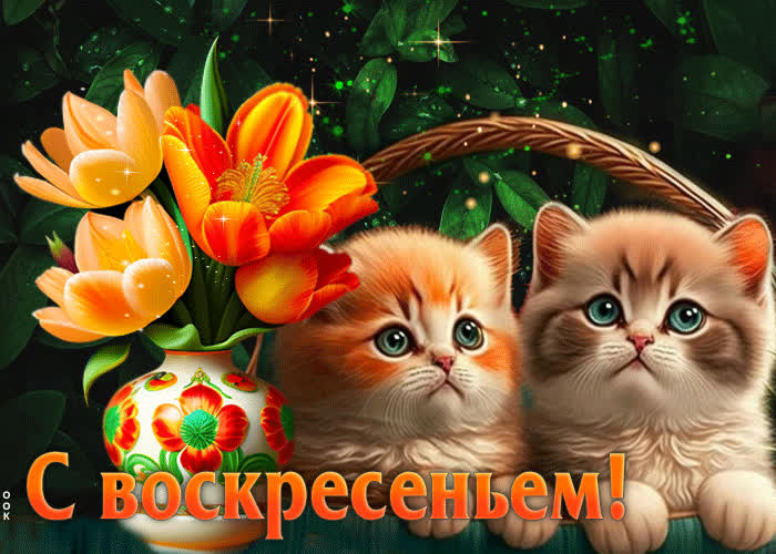 Postcard изумительная гиф-открытка с котятами и цветами с воскресеньем