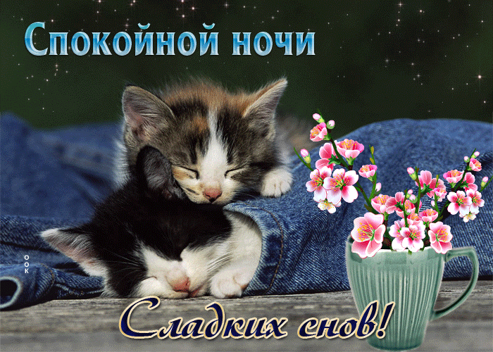 Picture изумительная открытка с котятами сладких снов