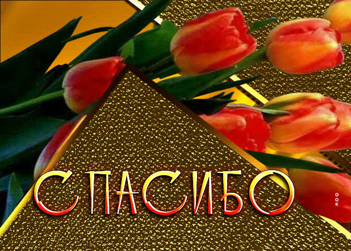 Postcard изысканная открытка с тюльпанами спасибо