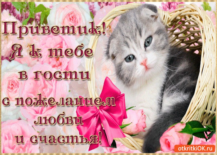 Открытка со словами как тебе идет, лет татарском открытки