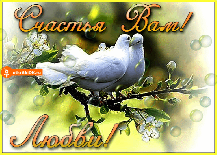 Открытки мы желаем вам счастья