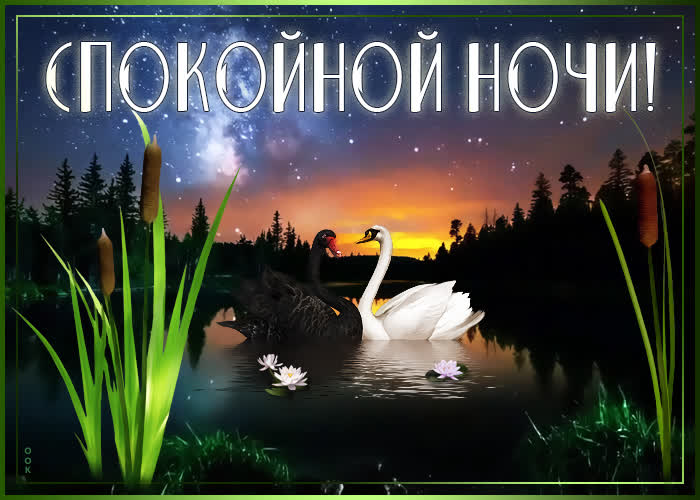 Картинка картинка спокойной ночи с лебедями
