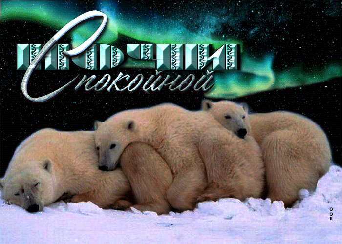 Картинка хорошая открытка спокойной ночи с полярными медведями