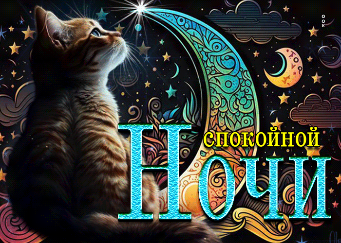 Postcard колоритная открытка с котиком спокойной ночи