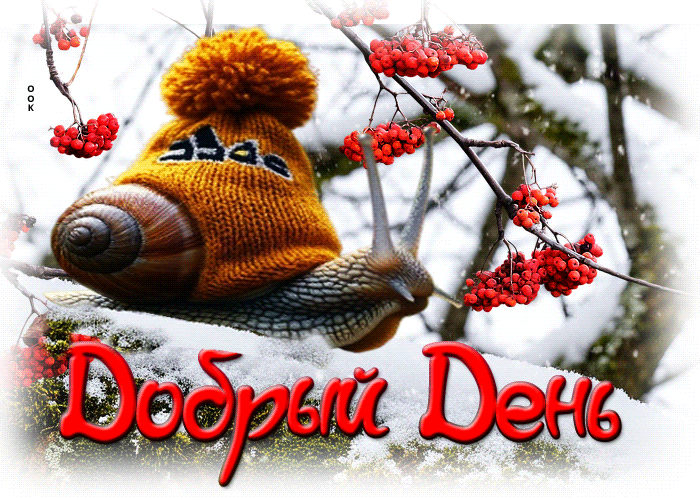 Postcard красивая гифка добрый день