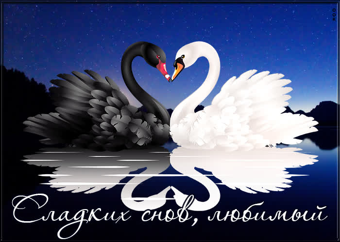 Postcard красивая картинка с лебедями сладких снов, любимый