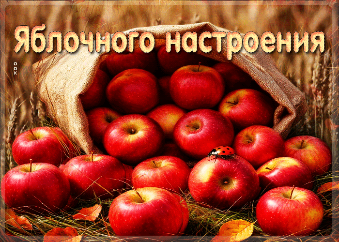 Postcard красивая осенняя гифка яблочного настроения