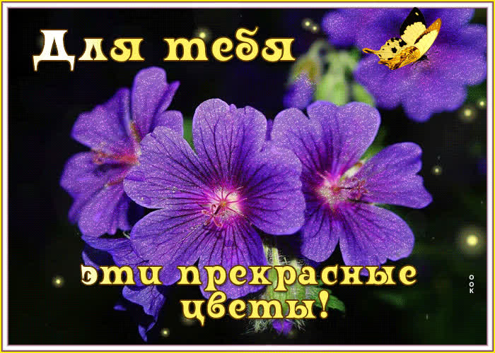 Красивая открытка Для тебя эти прекрасные цветы- Скачать бесплатно на ...