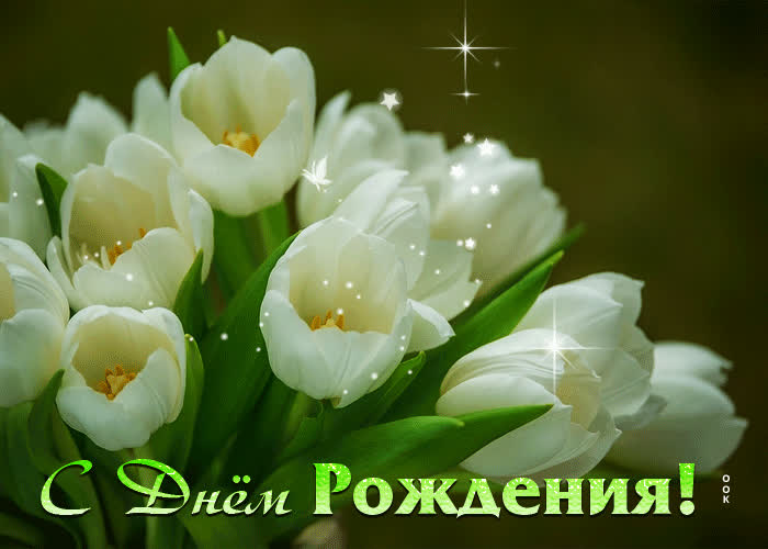 Postcard красивая открытка с белыми тюльпанами с днем рождения