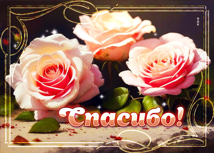Picture красивая открытка с нежными розами спасибо