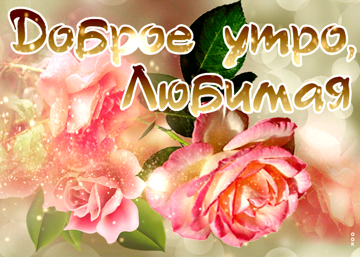 Postcard красивая открытка с розами доброе утро, любимая