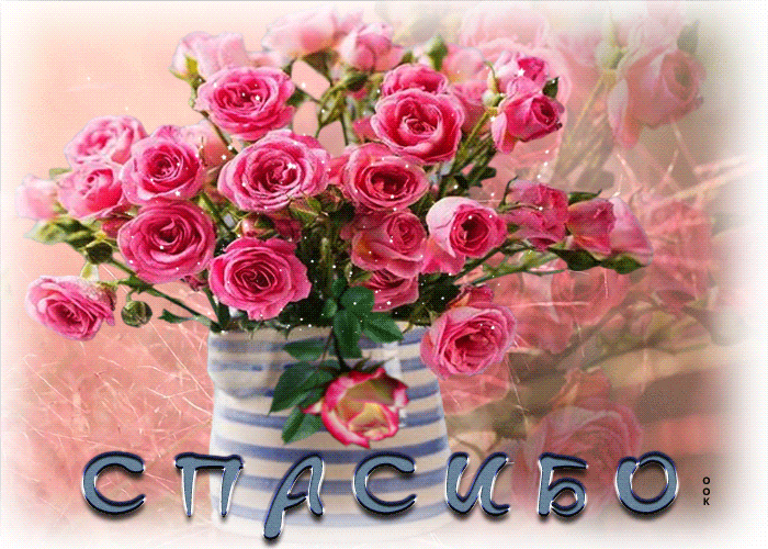 Picture красивая открытка с розовыми розами спасибо!