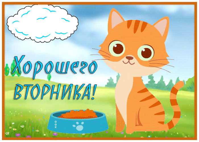 Postcard красивая открытка с рыжим котом хорошего вторника!