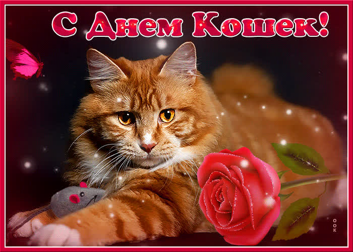 Картинка красивая открытка всемирный день кошек