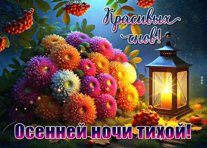 Postcard красивых снов! осенней ночи тихой!