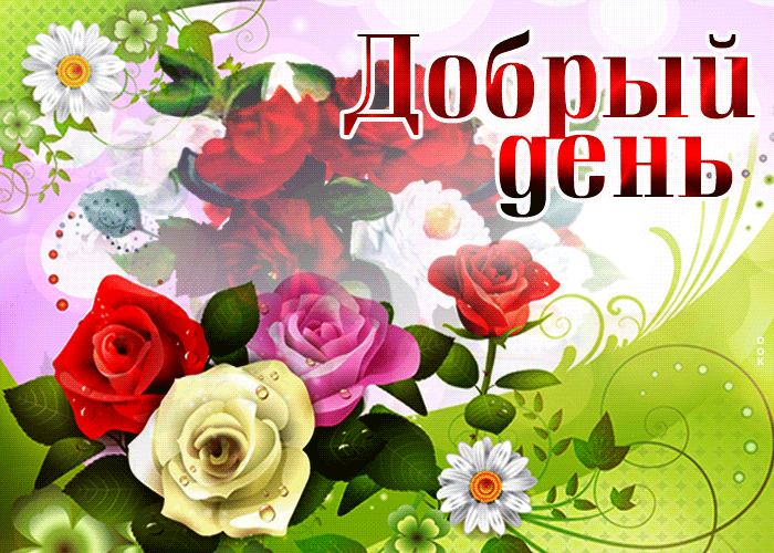 Картинка красочная открытка добрый день с цветами