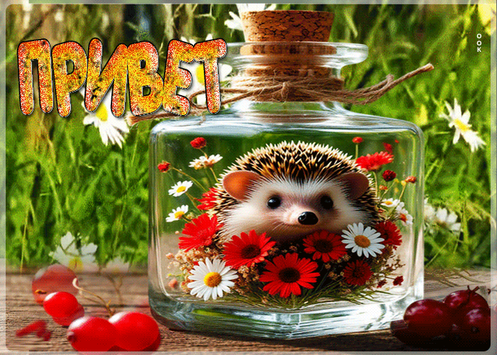 Picture красочная летняя гиф-открытка привет